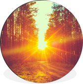 WallCircle - Wandcirkel - Muurcirkel - Zonsondergang - Bomen - Bos - Natuur - Aluminium - Dibond - ⌀ 60 cm - Binnen en Buiten