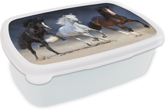 Broodtrommel Wit - Lunchbox Paarden - Dieren - Zand - Brooddoos 18x12x6 cm - Brood lunch box - Broodtrommels voor kinderen en volwassenen
