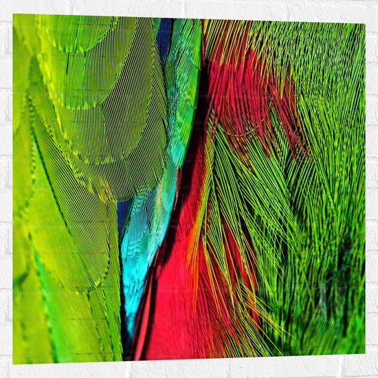 WallClassics - Muursticker - Groen met Rode Veren van een Vogel - 80x80 cm Foto op Muursticker