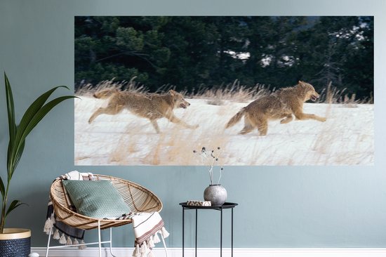 Stickers muraux - Film autocollant - Loup - Arbre - Animaux - 160x80 cm - Film adhésif - Stickers muraux Chambre d'enfant - Papier peint autocollant