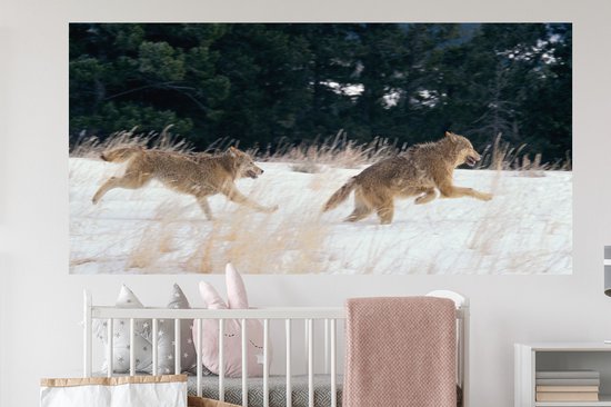 Stickers muraux - Film autocollant - Loup - Arbre - Animaux - 160x80 cm - Film adhésif - Stickers muraux Chambre d'enfant - Papier peint autocollant