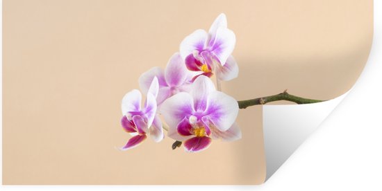Muurstickers - Sticker Folie - Witte en roze orchidee - 120x60 cm - Plakfolie - Muurstickers Kinderkamer - Zelfklevend Behang - Zelfklevend behangpapier - Stickerfolie