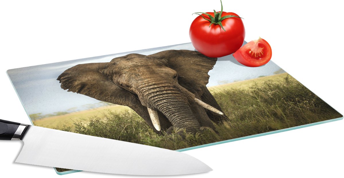 Glazen Snijplank - 28x20 - Olifant - Natuur - Gras - Dieren - Landschap - Snijplanken Glas