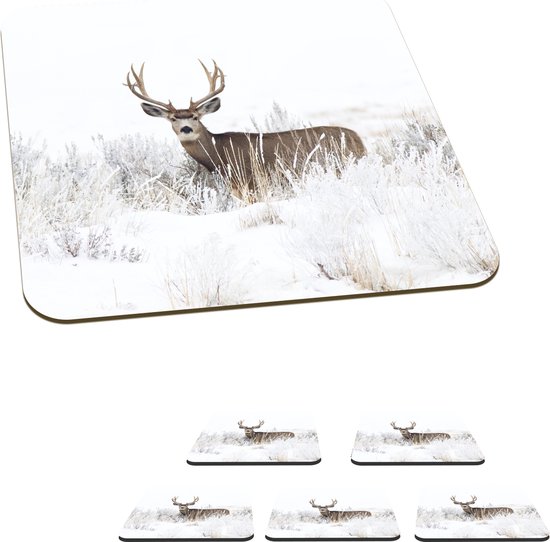 Lapland met kinderen: Dit is onze (geweldige) ervaring