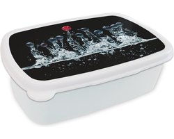 Broodtrommel Wit - Lunchbox - Brooddoos - Bessen - Water - Zwart - Fruit - Framboos - 18x12x6 cm - Volwassenen