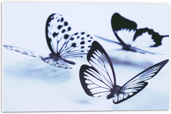 WallClassics - PVC Schuimplaat- Zwarte Vlinders op Witte Achtergrond - 60x40 cm Foto op PVC Schuimplaat