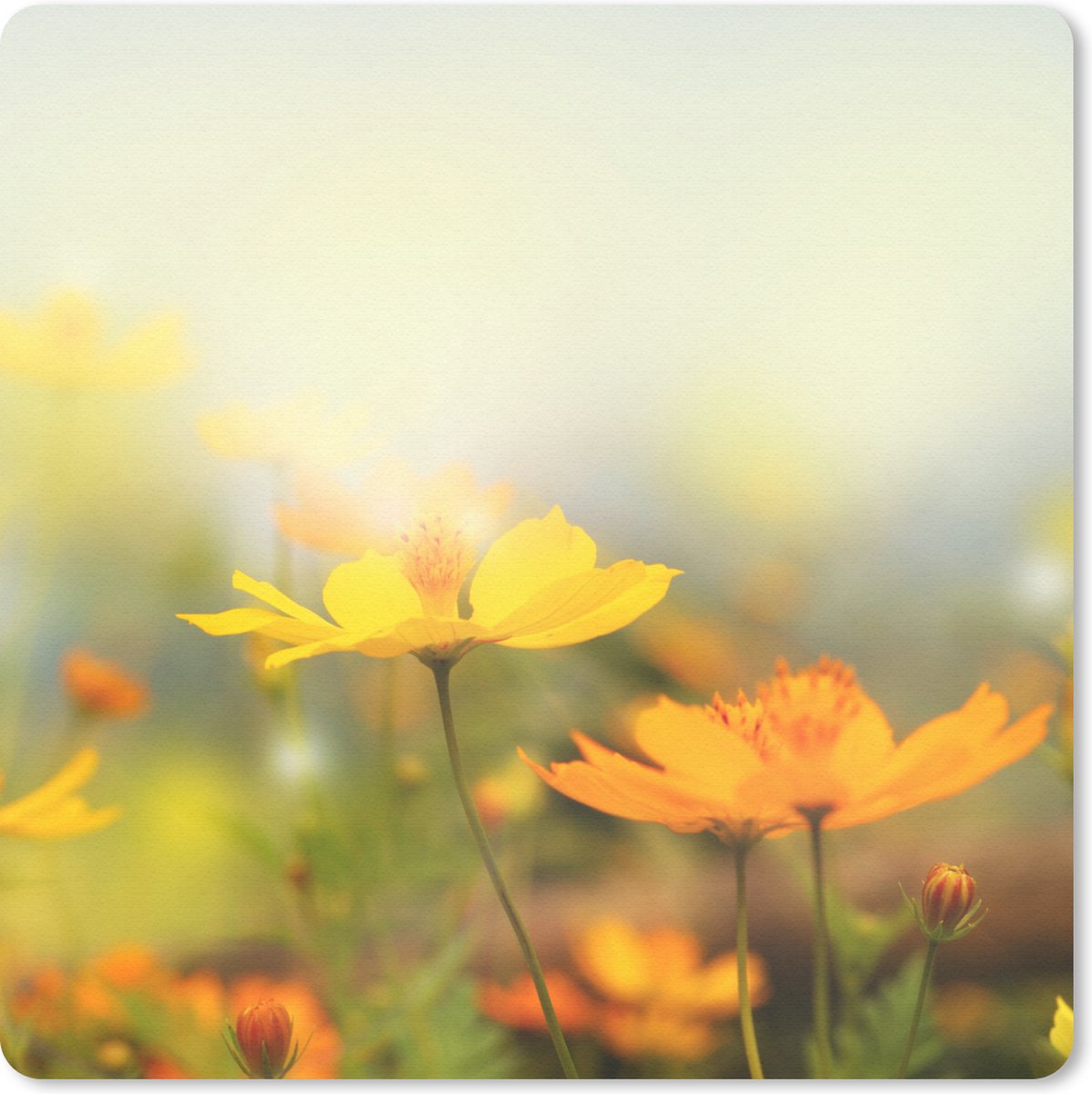 Muismat 30x30 cm - Mousepad Bloemen - Landschap - Geel - Muismatten