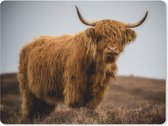 Muismat - Mousepad - Schotse Hooglander - Duin - Gras - 23x19 cm - Muismatten