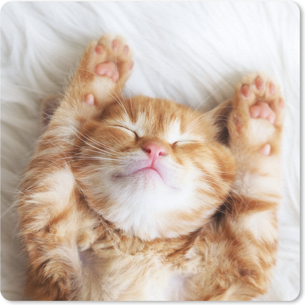 Muismat 30x30 cm - Mousepad Kat - Rood - Huisdieren - Kitten - Muismatten