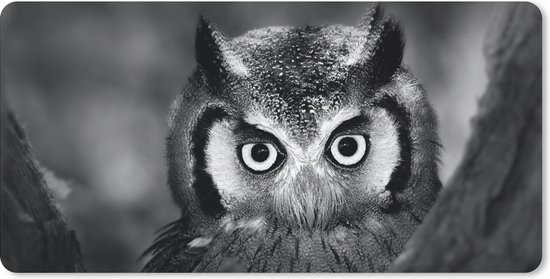 Bureauonderlegger - Vogel - Uil - Portret- Zwart - Wit - 60x30 - Muismat