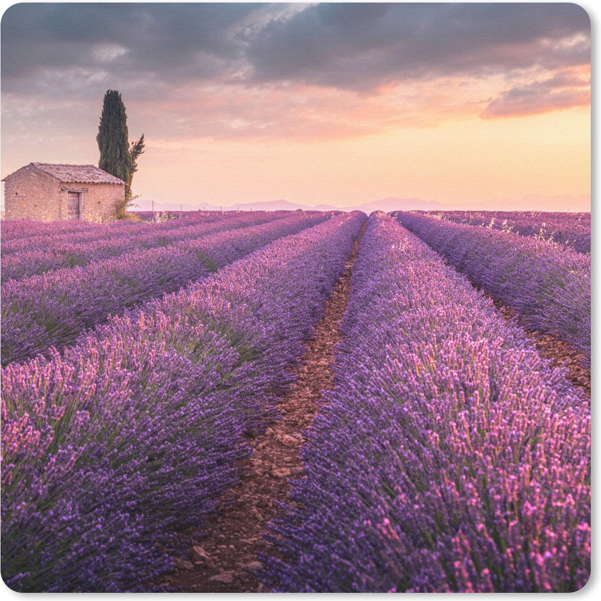 Muismat 20x20 cm - Mousepad Lavendel - Bloemen - Paars - Veld - Muismatten