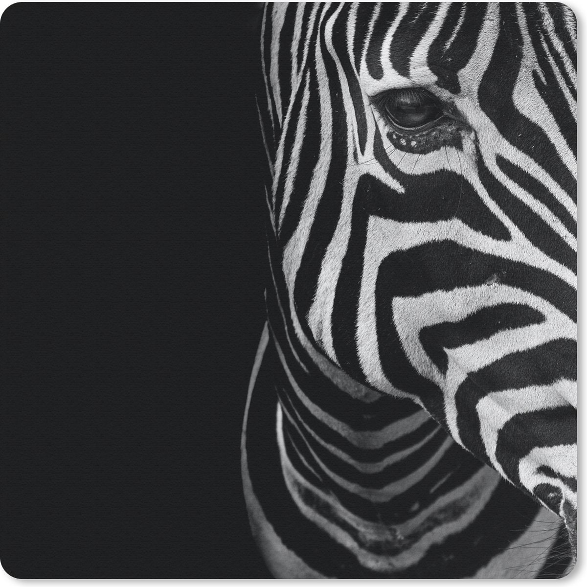 Muismat 20x20 cm - Mousepad Dieren - Zebra - Zwart - Wit - Muismatten