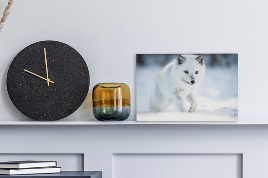 Arctic Fox traverse la neige 30x20 cm - petit - Tirage photo sur toile (Décoration murale salon / chambre) / animaux sauvages Peintures sur toile