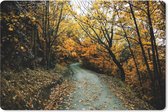 Muismat - Mousepad - Bladeren - Herfst - Bos - 27x18 cm - Muismatten