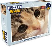 Puzzel Een close-up van een kitten - Legpuzzel - Puzzel 500 stukjes