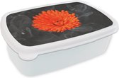 Broodtrommel Wit - Lunchbox - Brooddoos - Bloemen - Oranje - Zwart - Wit - 18x12x6 cm - Volwassenen