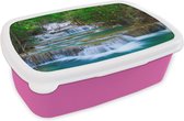 Broodtrommel Roze - Lunchbox - Brooddoos - Waterval - Bomen - Natuur - Water - Jungle - 18x12x6 cm - Kinderen - Meisje