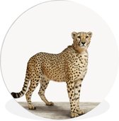 Cheetah Animal Print Nursery Wall Circle Assiette en plastique ⌀ 90 cm - impression photo sur cercle mural / cercle vivant (décoration murale)