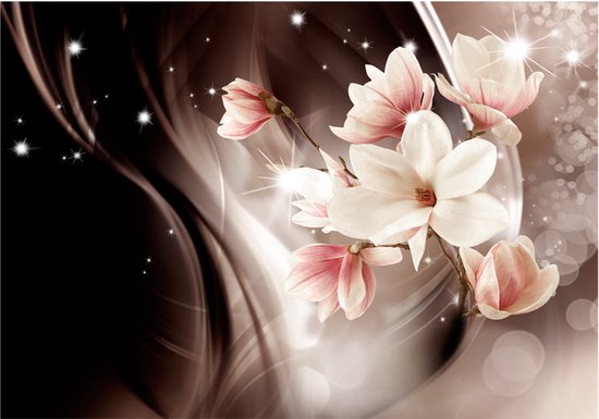 Papier peint photo - Magic de la Nuit.