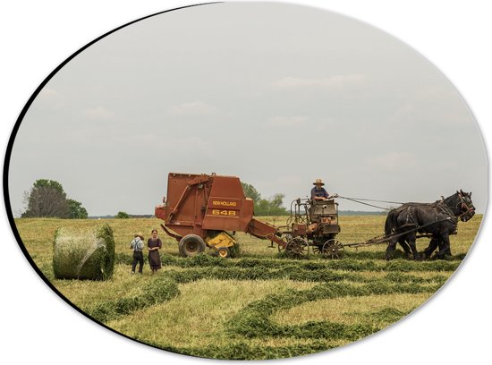 WallClassics - Dibond Ovaal - Paarden in de Landbouw - 28x21 cm Foto op Ovaal (Met Ophangsysteem)