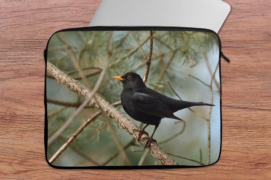 Housse pour ordinateur portable 15,6 pouces - Vogel - Merle - Branches - Animaux - Housse pour ordinateur portable - Dimensions intérieures 39,5x29,5 cm