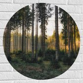 WallClassics - Muursticker Cirkel - Bos met Kleine en Grote Bomen - 70x70 cm Foto op Muursticker
