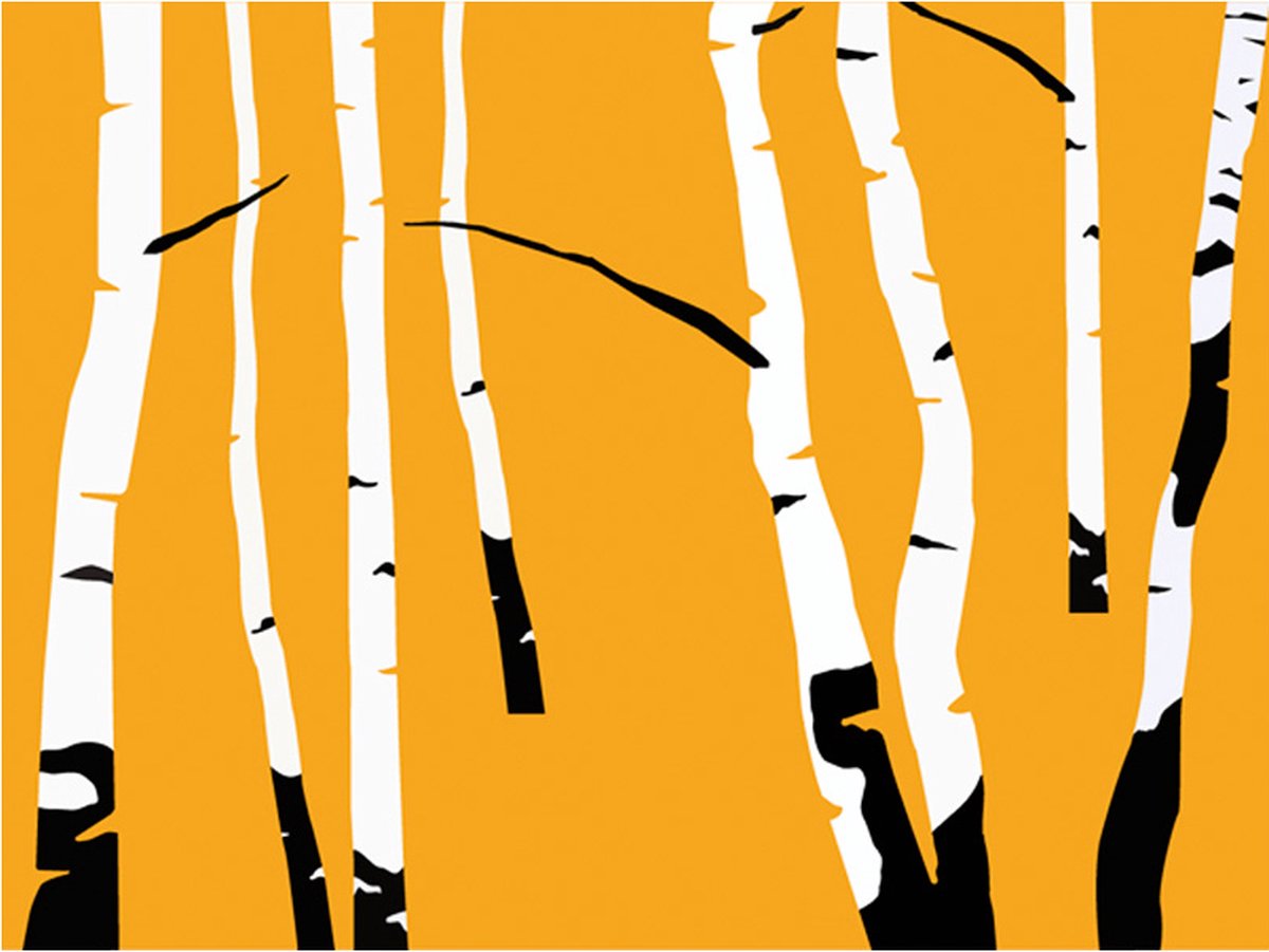 Fotobehang - Birches on the orange background.