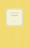 Taschenbuch-Literatur-Klassiker 42 - Der Stechlin