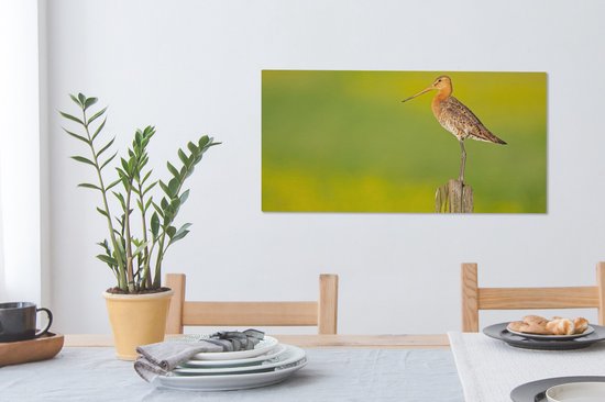 Toile - Tableau - Vogel - Animaux - Barge à queue noire - Perche - Vert - Peintures sur toile - Photo sur toile - 80x40 cm - Décoration murale - Salon