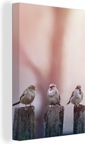 Canvas Schilderij Vogels - Mussen - Paaltjes - Hout - 60x90 cm - Wanddecoratie