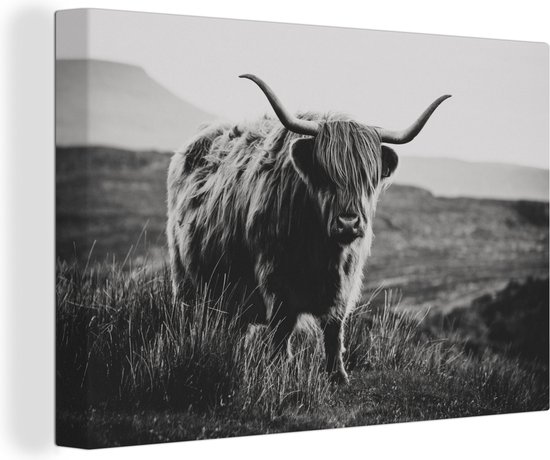 Canvas - Dieren - Schotse hooglander - Koe - Gras - Natuur - Muurdecoratie - 90x60 cm - Schilderijen op canvas - Foto op canvas