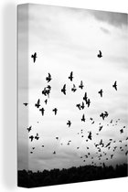 Canvas schilderij - Dieren - Vogels - Wolken - Zwart - Wit - Woonkamer - 60x80 cm - Canvas doek - Foto op canvas