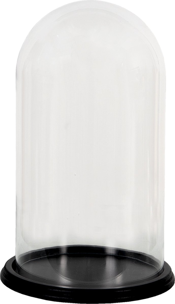 De Glazen stolp - Met zwart houten voet - 30 cm hoog De Glazen stolp - Met zwart houten voet - 30 cm hoog
