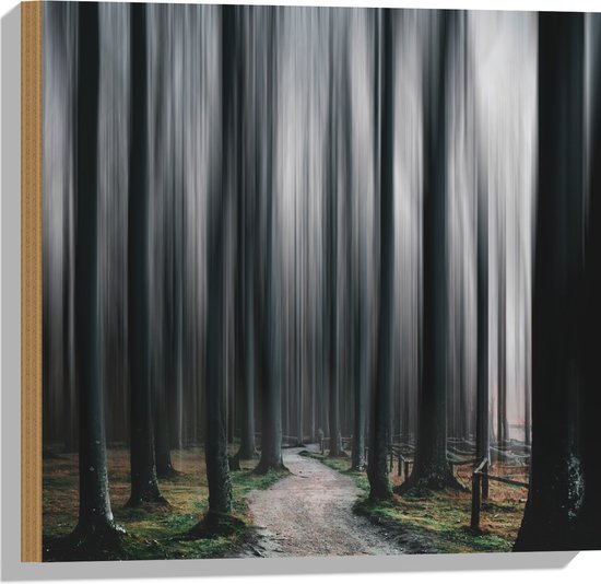 WallClassics - Hout - Hele Hoge Abstracte Bomen - 50x50 cm - 12 mm dik - Foto op Hout (Met Ophangsysteem)