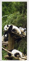 Deursticker Panda's - Hout - Trap - 80x205 cm - Deurposter