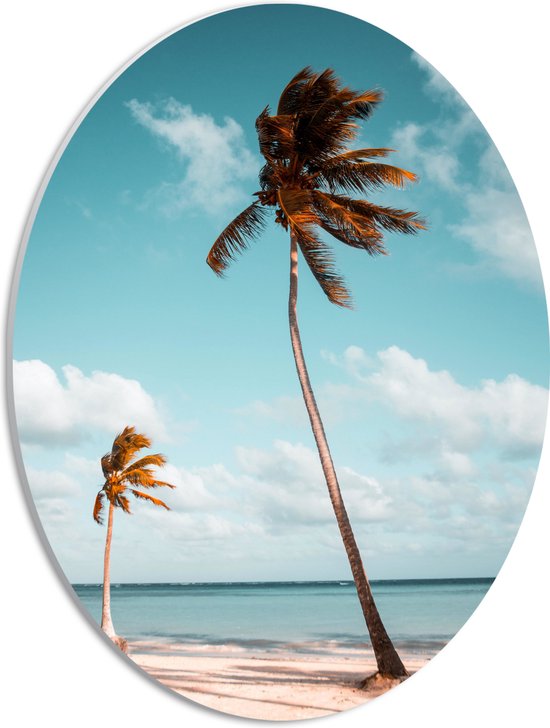 WallClassics - PVC Schuimplaat Ovaal - Grote en Kleine Palmboom aan het Water - 30x40 cm Foto op Ovaal  (Met Ophangsysteem)