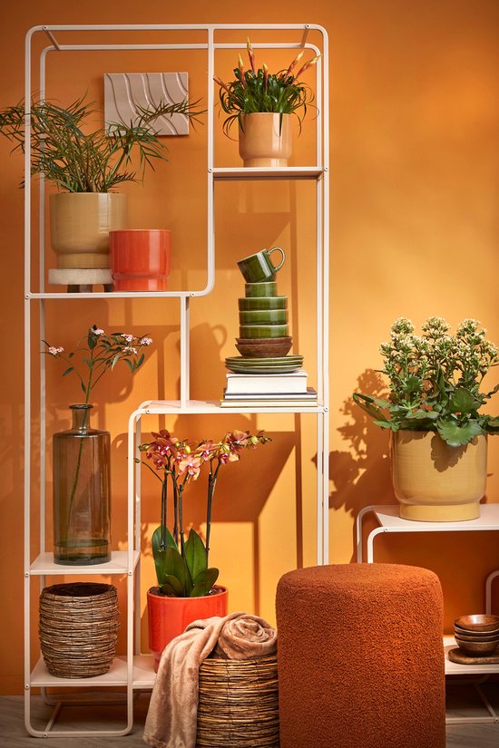 Mica Decorations bouteille guan dimensions en cm: 40x15 vert / gris