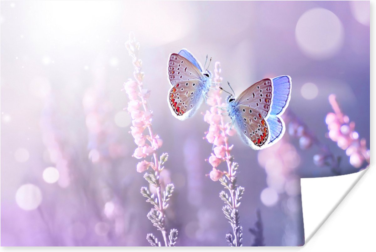 Poster Vlinder - Lavendel - Bloemen - Paars - 60x40 cm