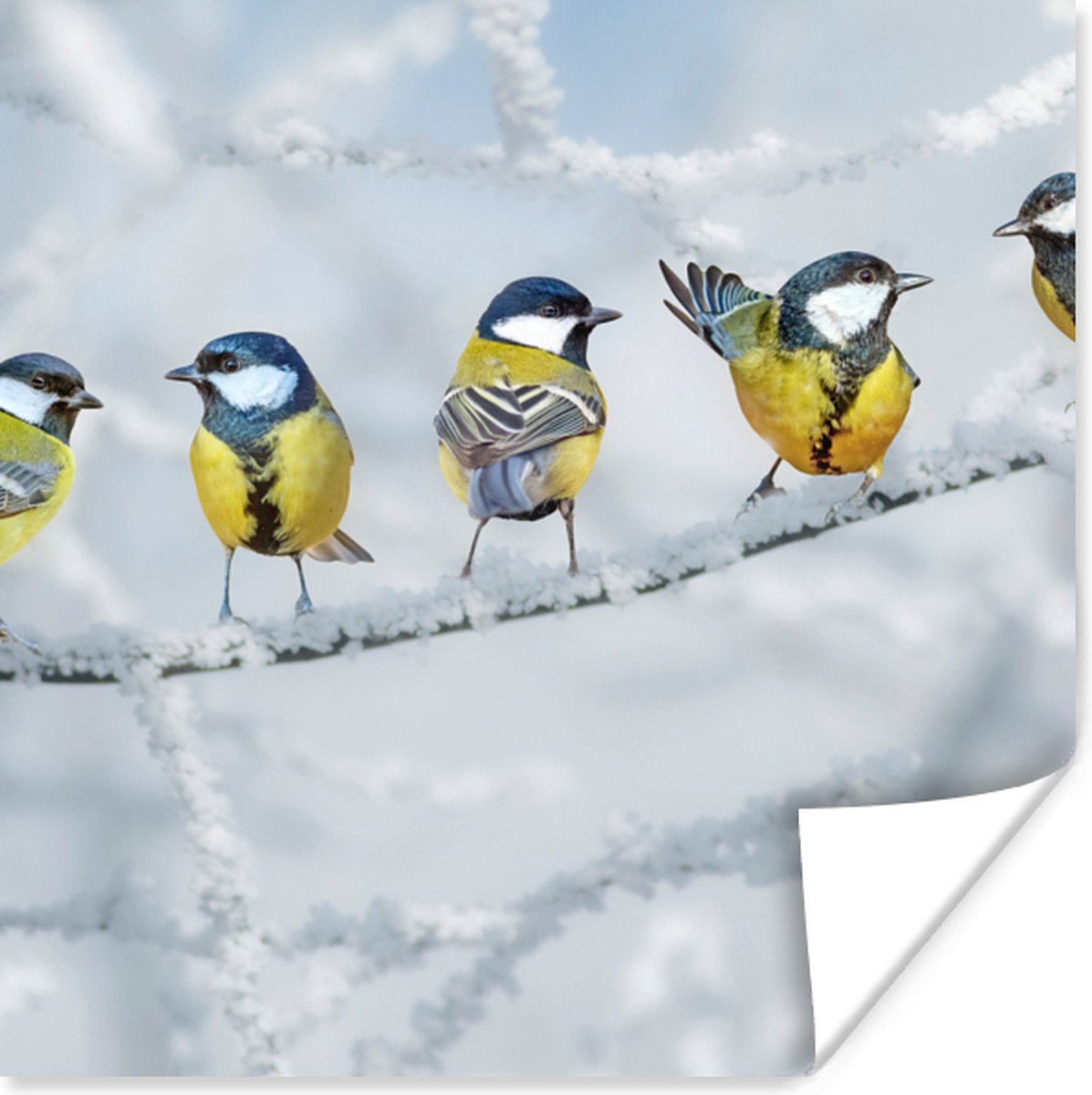 Poster Vogel - Koolmees - Winter - Sneeuw - Takken - 75x75 cm