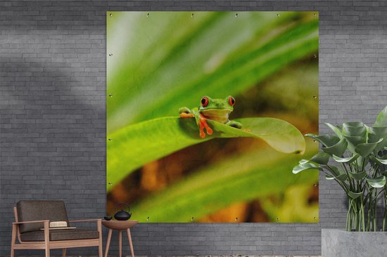 Poster Jardin Grenouille macaque aux yeux rouges entre les feuilles au Costa Rica - 200x200 cm - Toile jardin - Poster extérieur