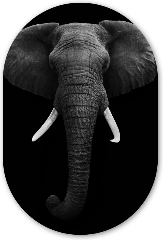 Muurovaal - Kunststof Wanddecoratie - Ovalen Schilderij - Olifant - Wilde dieren - Zwart - Wit - Portret - 60x90 cm - Ovale spiegel vorm op kunststof