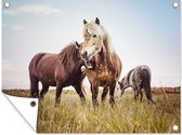 Affiche jardin - Toile jardin - Posters de jardin extérieur - Paarden - Herbe - Printemps - 120x90 cm - Jardin