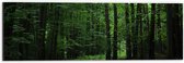 WallClassics - Dibond - Wandelpad in Bos - 60x20 cm Foto op Aluminium (Wanddecoratie van metaal)