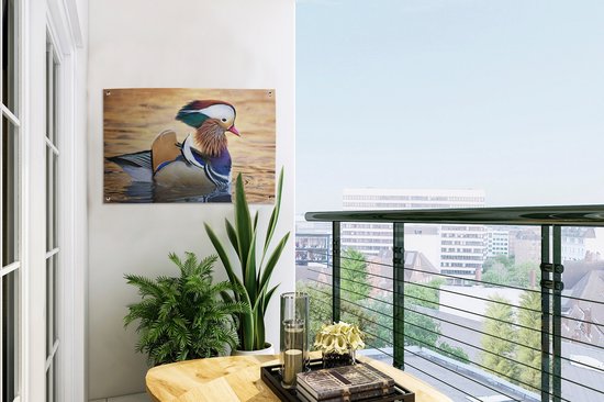 Canard mandarin dans l'eau dans le jardin d'automne affiche toile en vrac 60x40 cm - petit - toile de jardin / toile d'extérieur / Peintures pour l'extérieur (décoration de jardin)