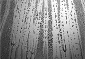Papier peint photo - Bruine Summer .