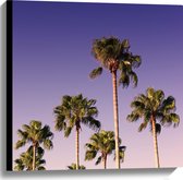 WallClassics - Canvas  - Palmboomtoppen in de lucht - 60x60 cm Foto op Canvas Schilderij (Wanddecoratie op Canvas)