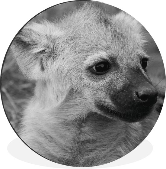 Hyène cub en cercle mural noir et blanc aluminium ⌀ 90 cm - impression photo sur cercle mural / cercle vivant / cercle de jardin (décoration murale)