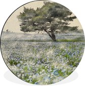 WallCircle - Wandcirkel - Muurcirkel - Geschilderde bloemen op een veld - Aluminium - Dibond - ⌀ 120 cm - Binnen en Buiten XXL