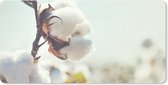 Bol.com Bureauonderlegger - Planten - Bloem - Tak - Natuur - 60x30 - Muismat aanbieding