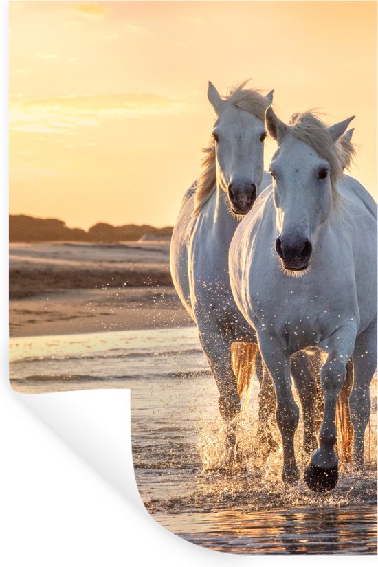 Stickers muraux - Sticker Foil - Paarden - Water - Plage - Animaux - 20x30 cm - Film Adhésif - Stickers muraux Chambre Enfant - Papier Peint Auto Adhésif